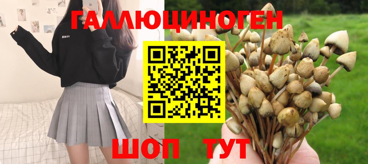 Кирово-Чепецк  Галлюциногенные грибы мухоморы  Вход с VPN 